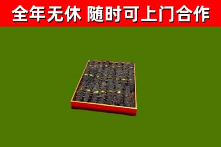 盈江回收海参